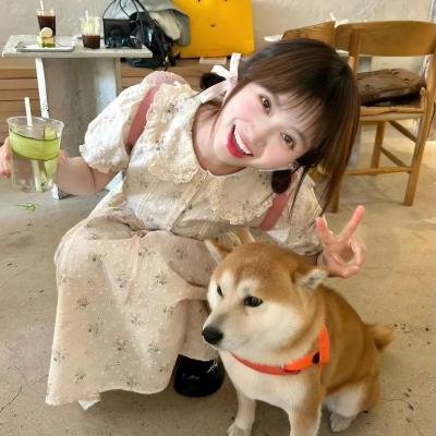动画纪录专题